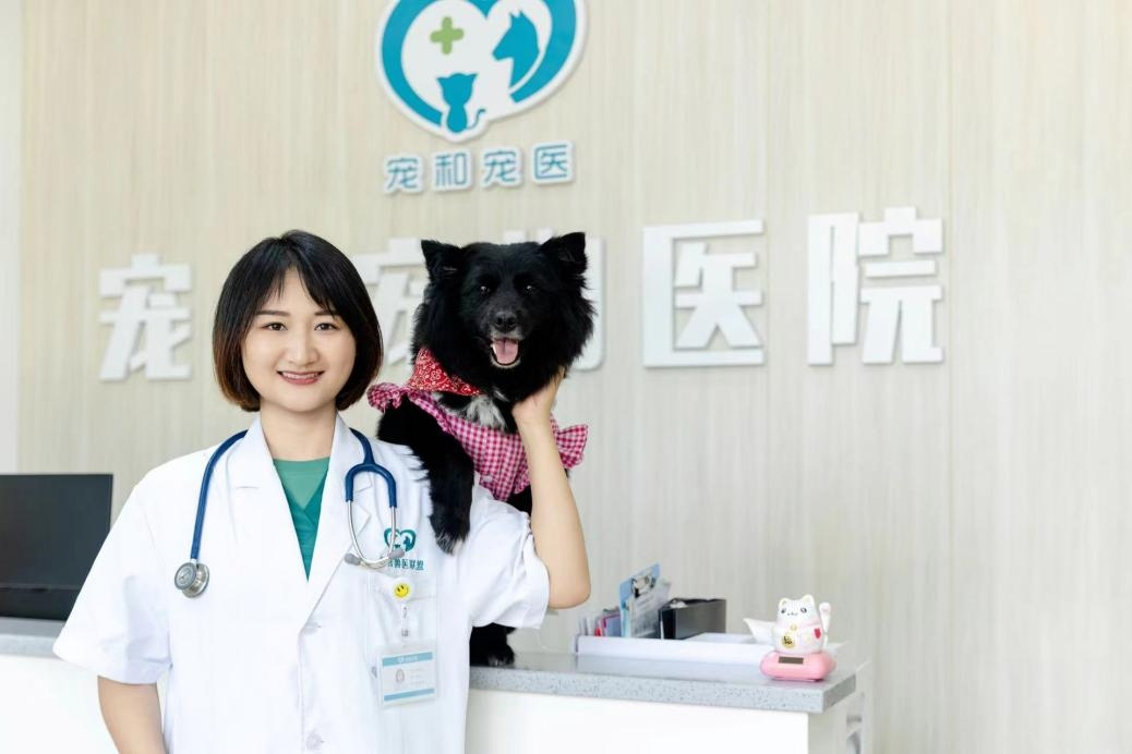 VETMEDIX Case Sharing丨Лазерна хірургія високої потужності для лікування гематоми вуха