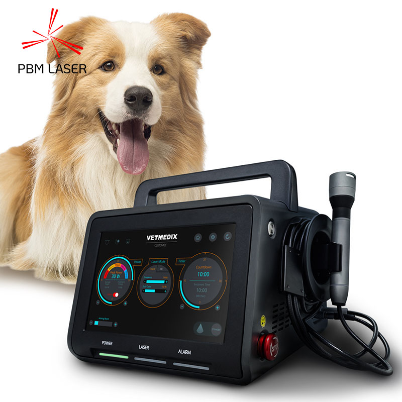 30 Вт Canine Pet Laser Therapy Laser 450 нм 650 нм 810 нм 808 нм 915 нм 1064 нм